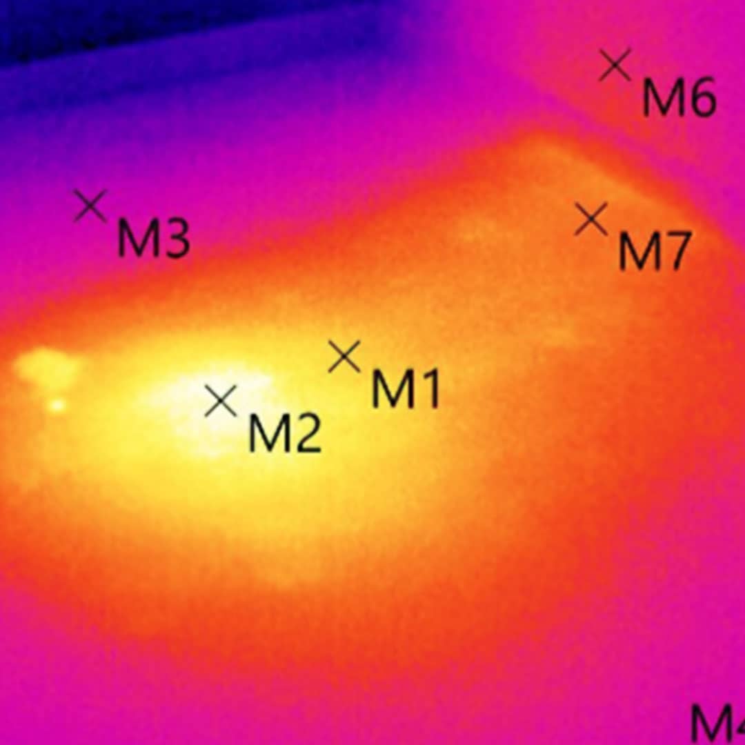Was sagen uns thermografische Bilder?